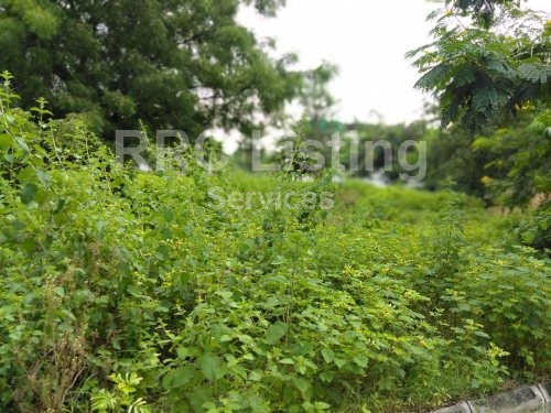 OPEN PLOT FOR SALE IN YAP