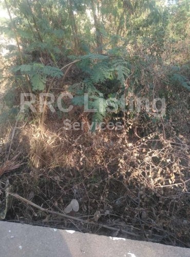 OPEN PLOT FOR SALE IN BOL