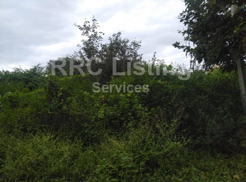 OPEN PLOT FOR SALE IN MOU