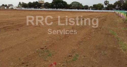 Open plot for sale in Bol