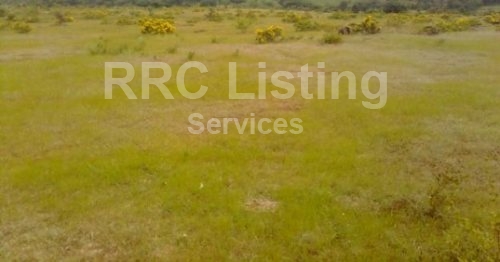 Open plot for sale in Yap