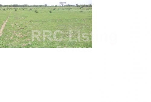 Open plot for sale in Tri