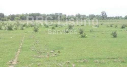 Open plot for sale in Yap