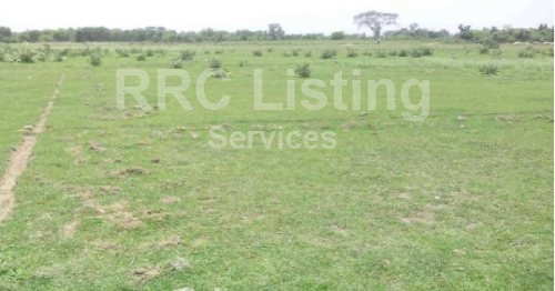 Open plot for sale in Kom