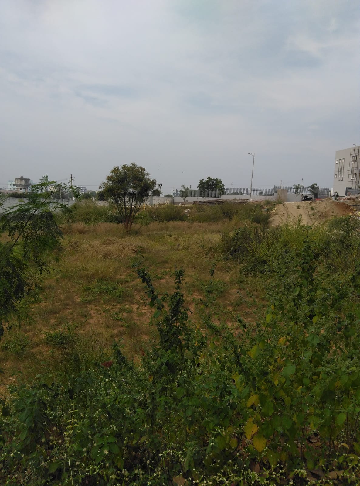 Open Plot for sale in Pat