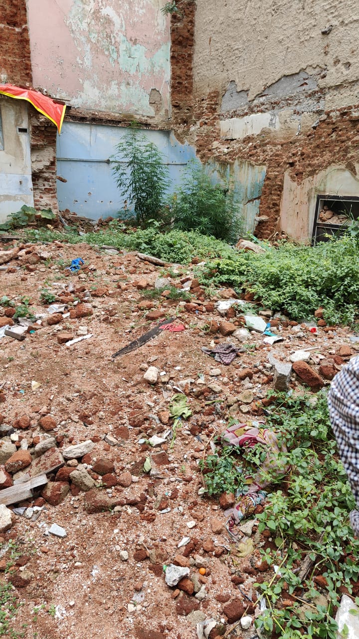 Open Plot for sale in Jed