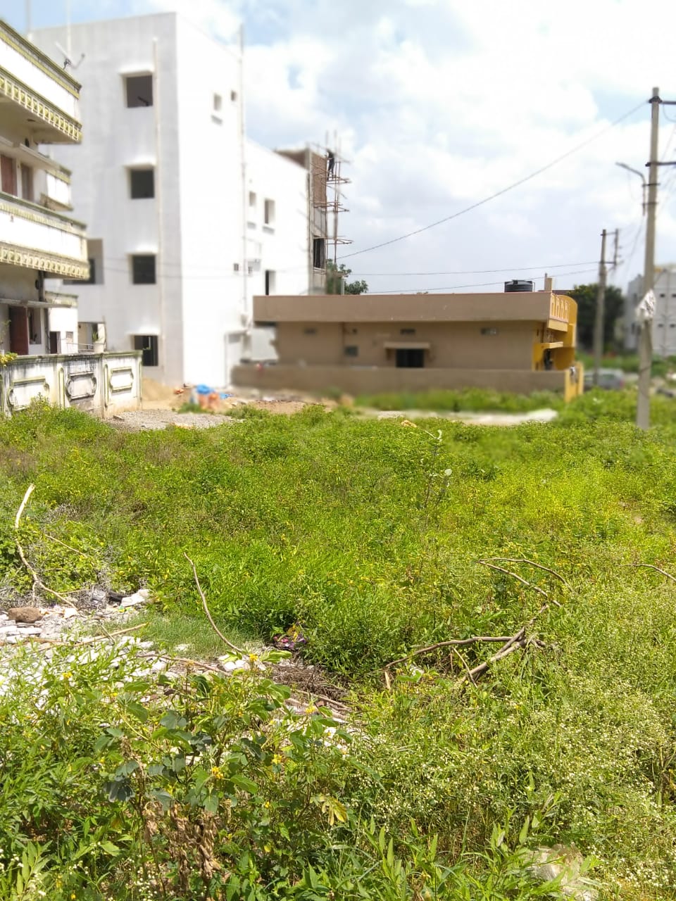Open Plot for s