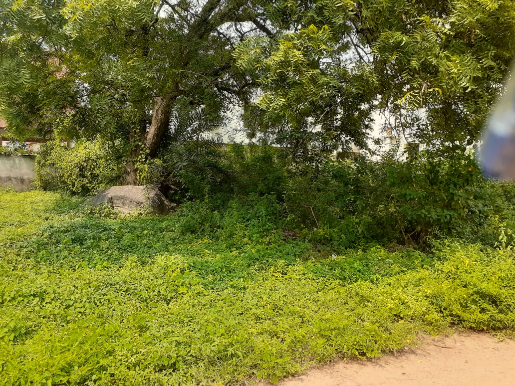 Open Plot for sale in Amu