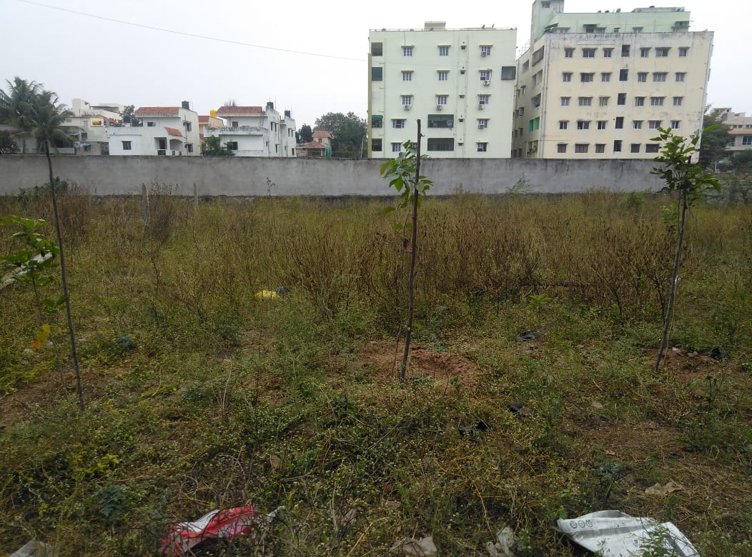 Open Plot for sale in Che