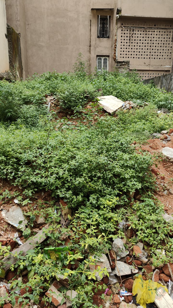 Open Plot for sale in Chi