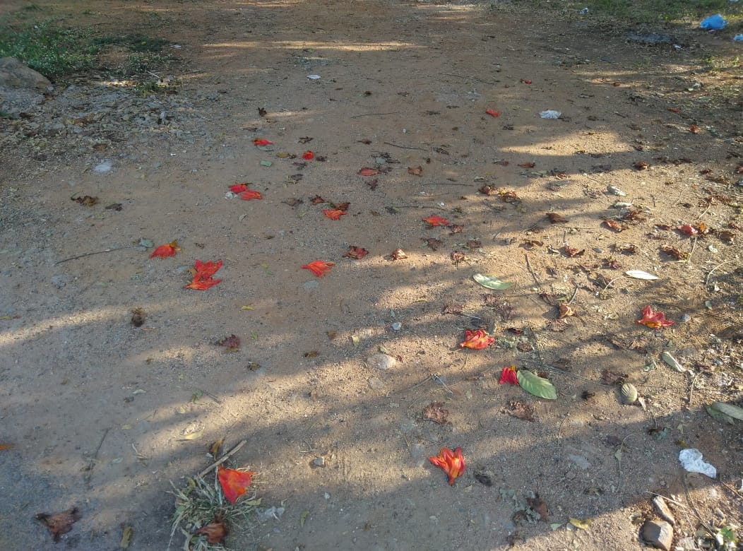 Open Plot for sale in Mah