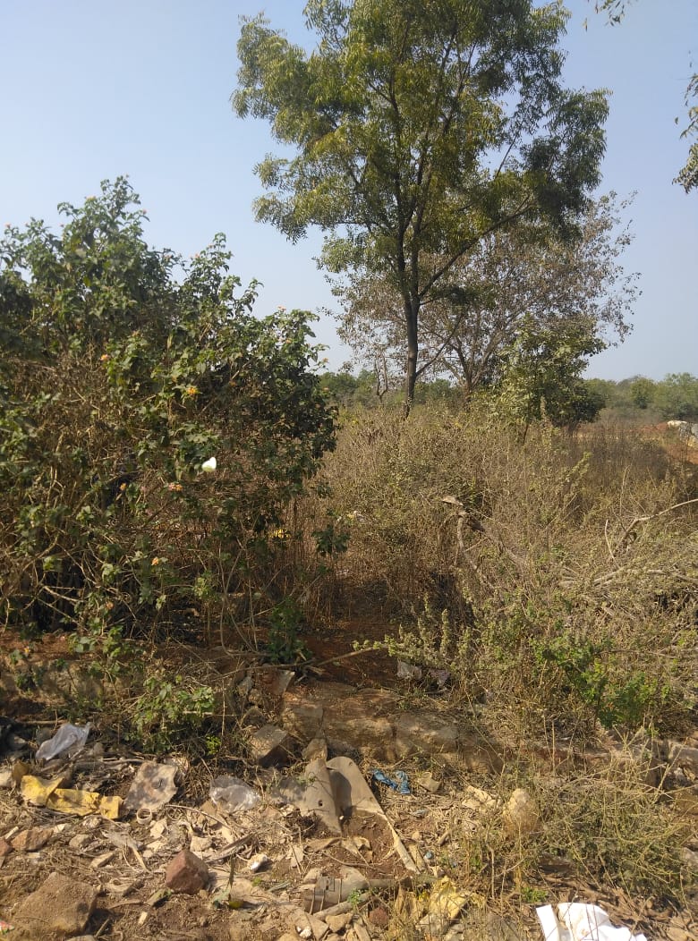 Open plot for sale in Nag