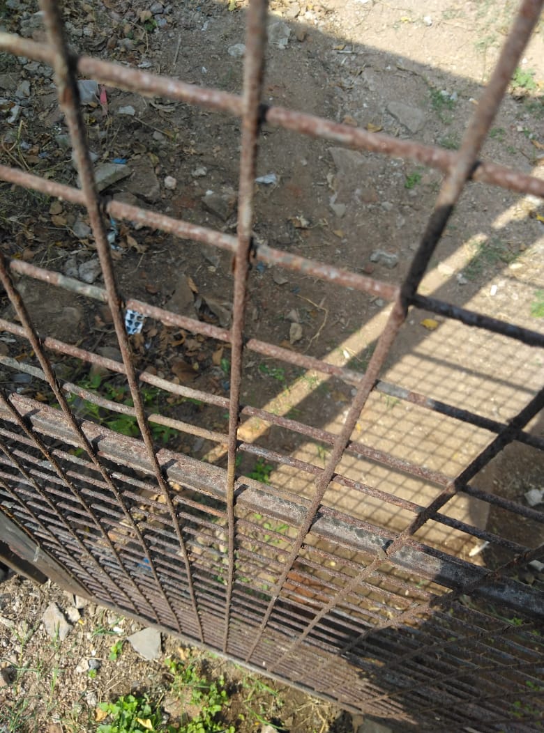 Open plot for sale in Ped