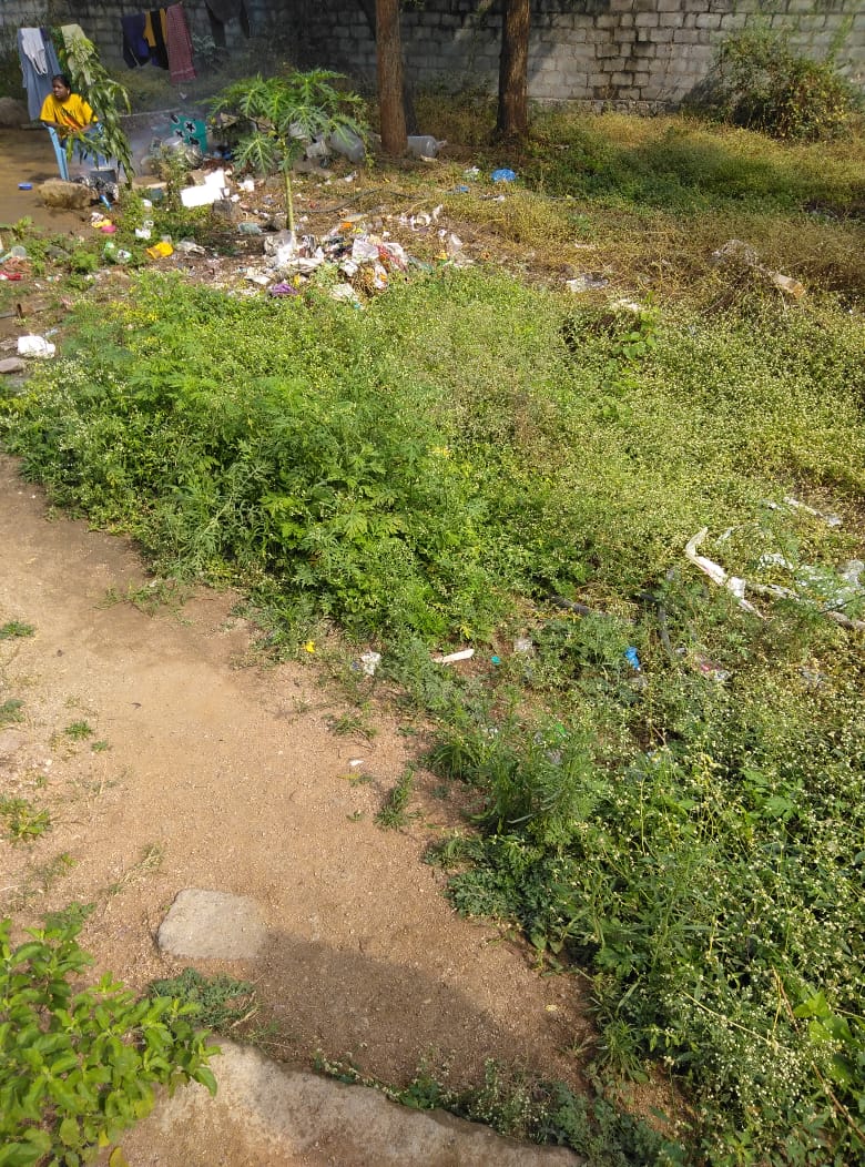 Open Plot for sale in Bow