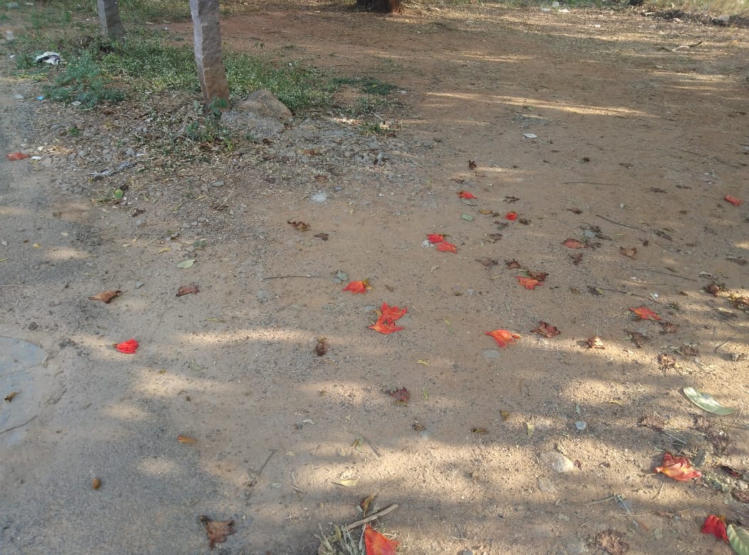 Open Plot for sale in Old